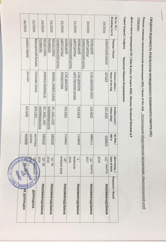 племенной смотр РОО Аврора