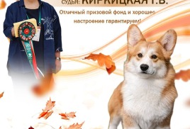Приглашаем посетить выставку собак всех пород клуба "Велес" ранг САС + ЧФ РФОС